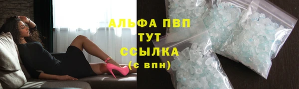 гашик Майский