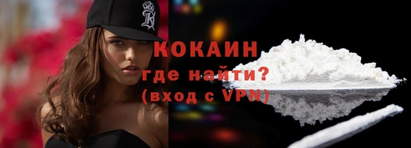 гашик Майский