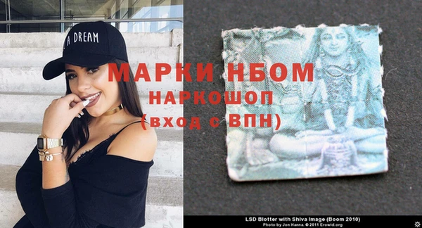 гашик Майский