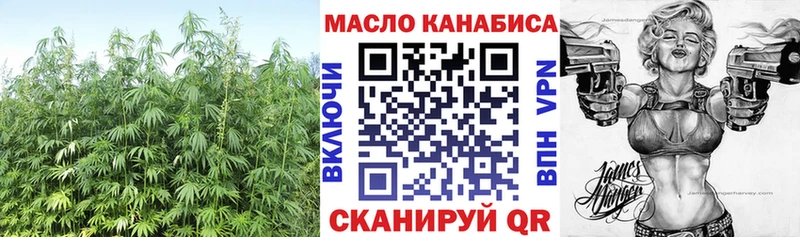 Дистиллят ТГК гашишное масло  shop какой сайт  Шенкурск 