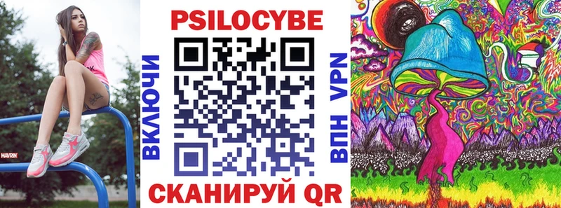 Галлюциногенные грибы Psilocybine cubensis  кракен tor  Шенкурск  купить наркоту 